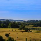 Die Ernte wartet auf die Abholung