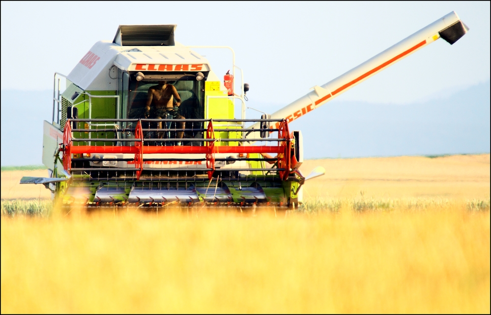 Die Ernte wird eingefahren