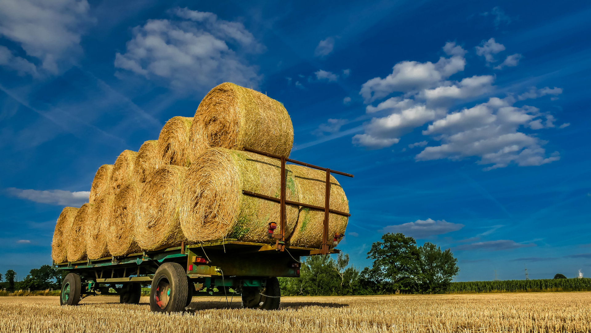 Die Ernte wird eingefahren