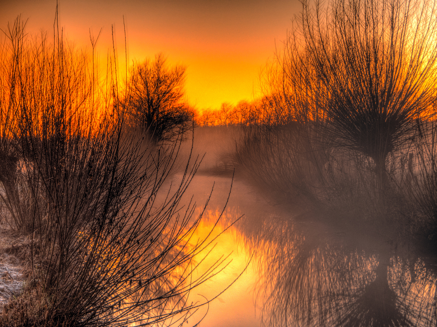 Die Erpe im Nebel