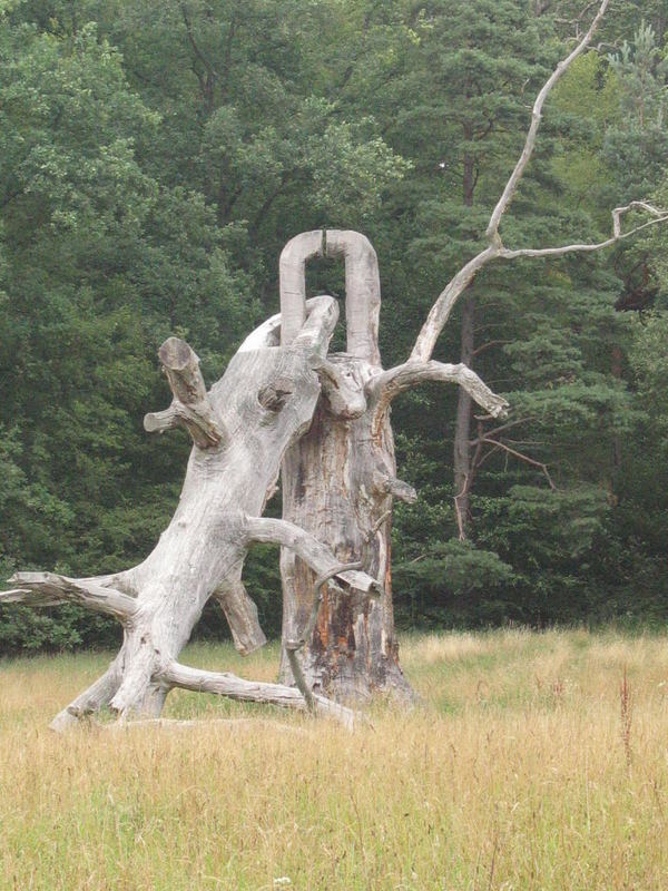 die erste Baumverkettung