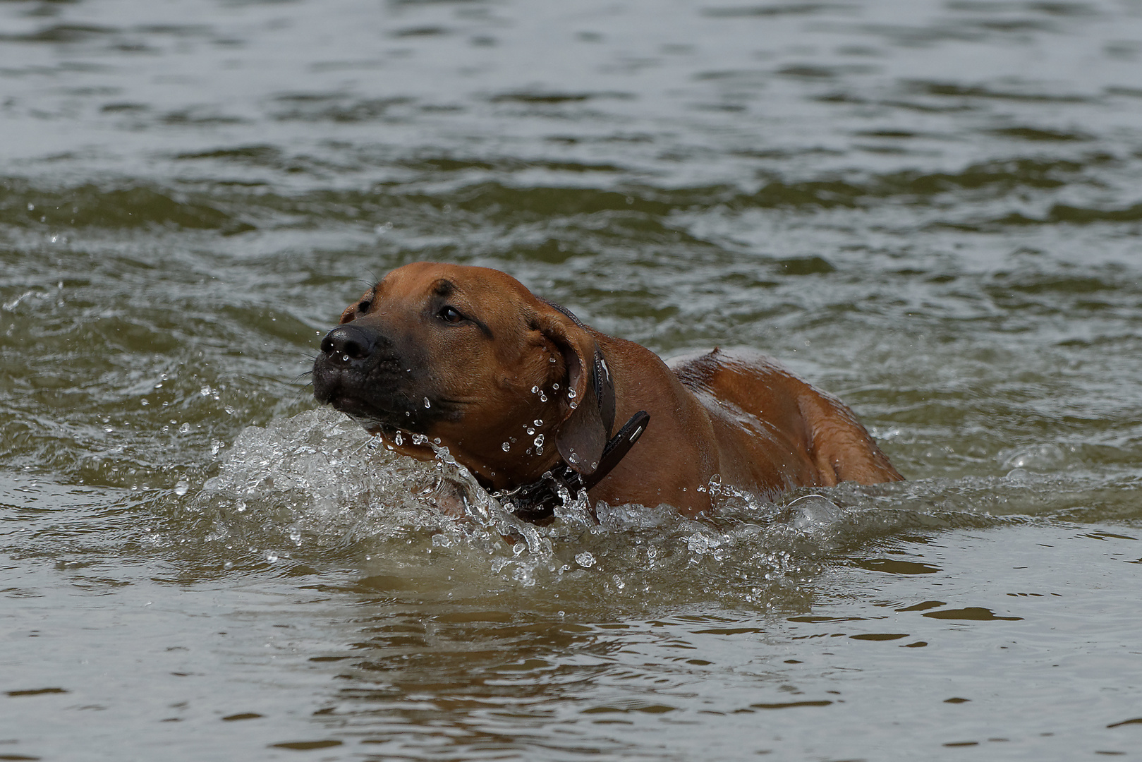 die erste begegnung mit Wasser 3