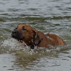 die erste begegnung mit Wasser 3