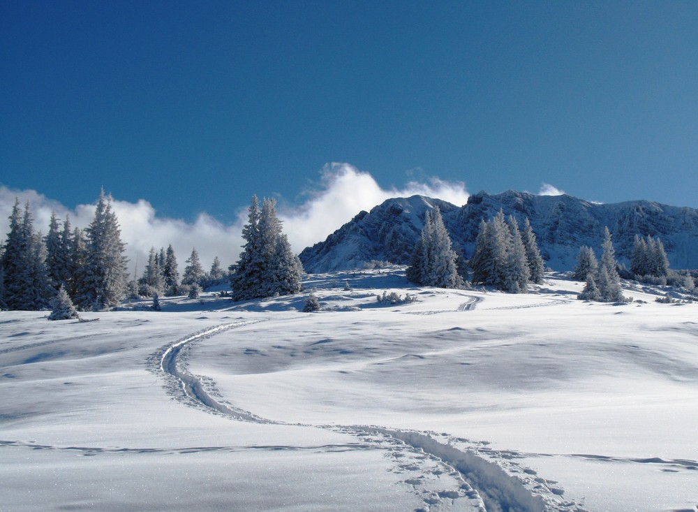 die erste Skitour.....