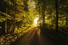 die erste Sonne an diesem Tag