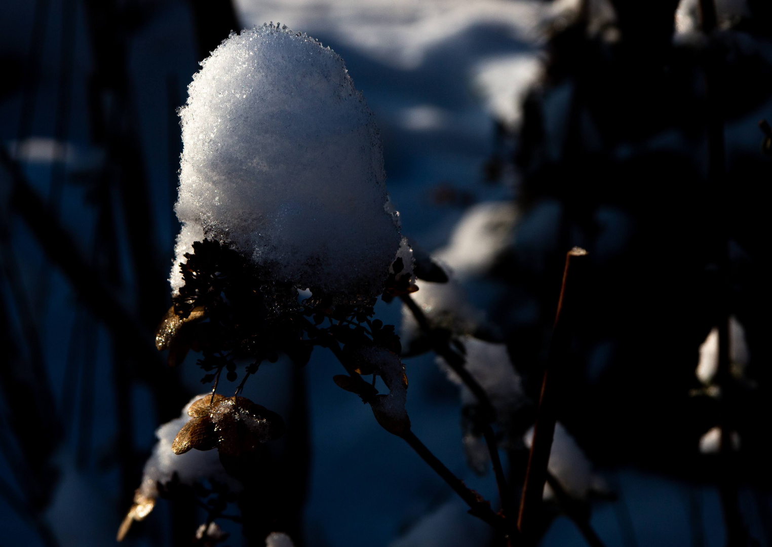 Die erste Sonne seit vielen Tagen....