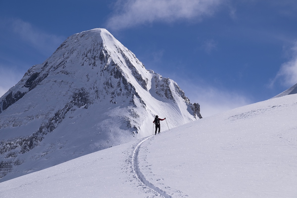 Die erste Spur im Powder