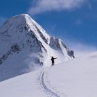 Die erste Spur im Powder