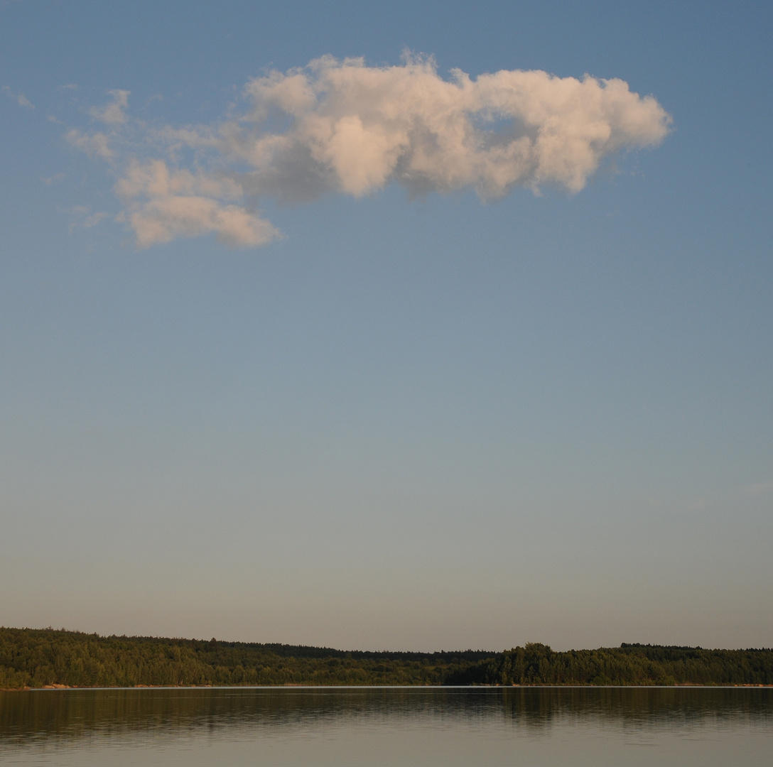 die erste wolke vor dem gewitter