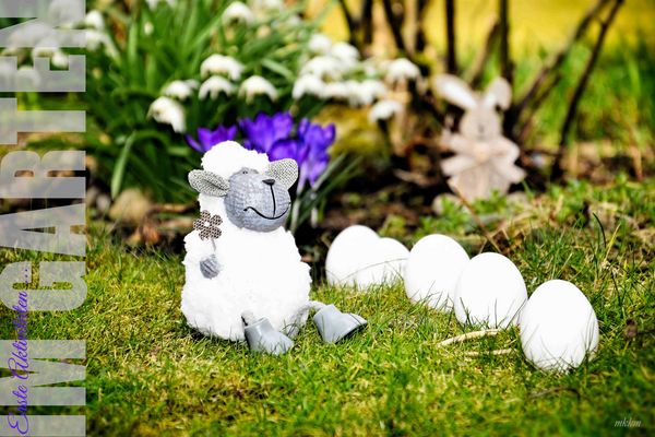 Die ersten Aktivitäten im ...