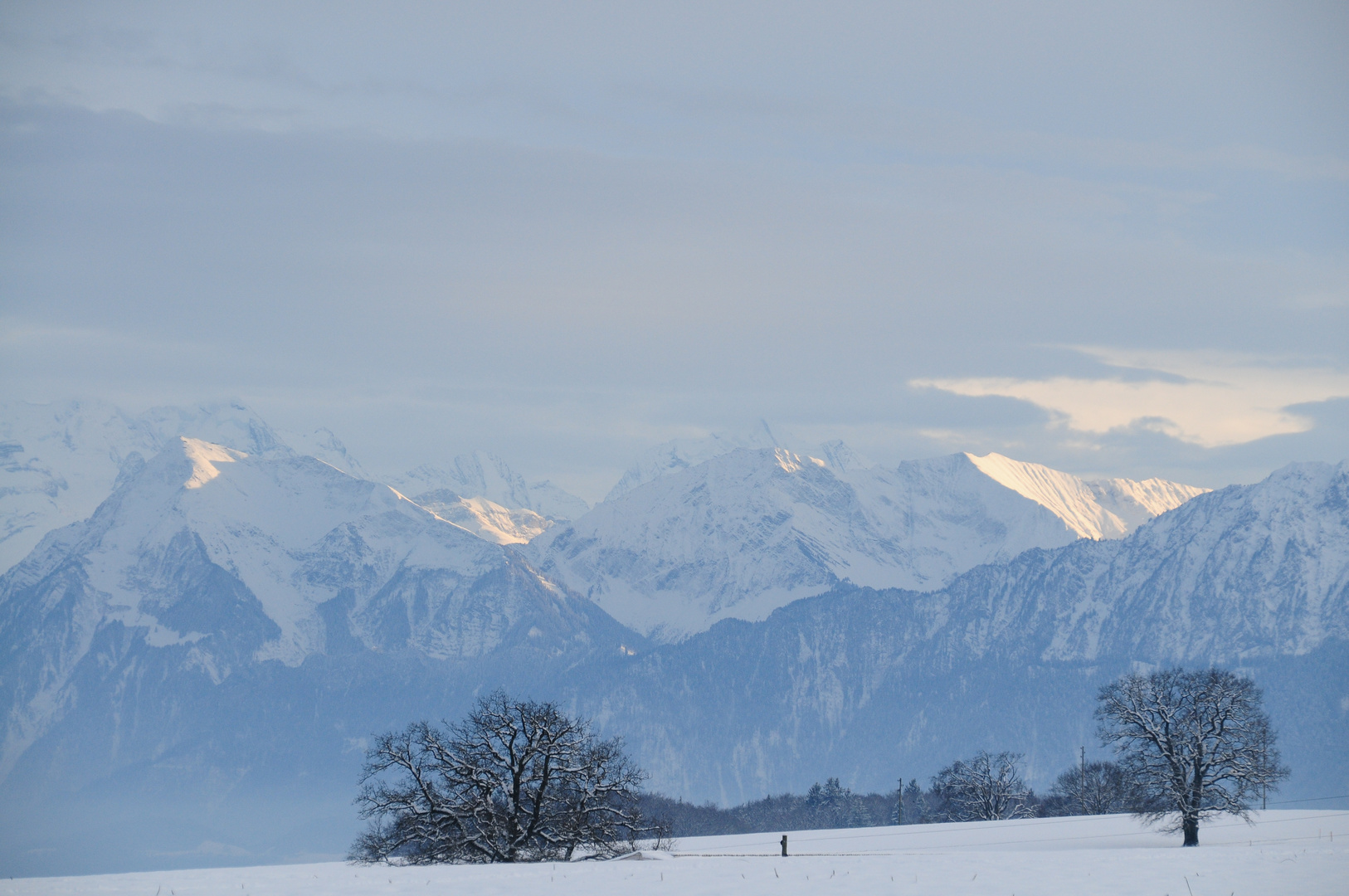 Die ersten Anzeichen des Winters