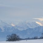 Die ersten Anzeichen des Winters