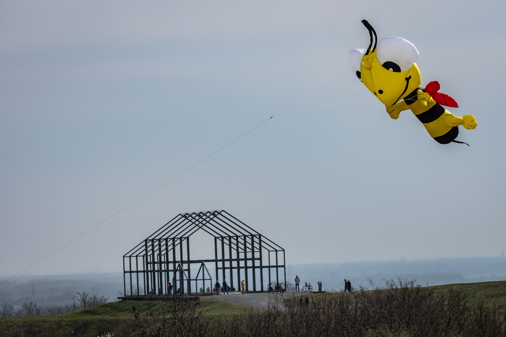 Die ersten Bienen "fliegen" aus 