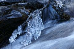 die ersten Eiszapfen