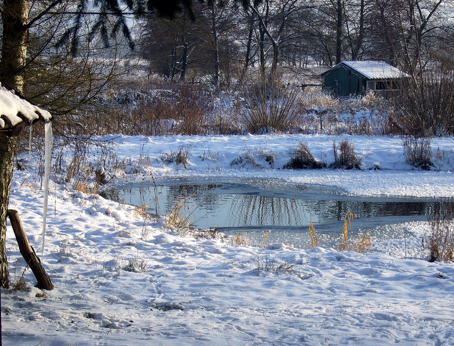 -Die ersten Eiszapfen-