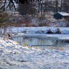 -Die ersten Eiszapfen-