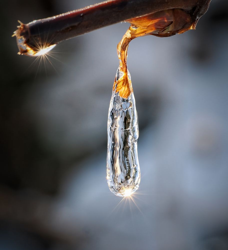 Die ersten Eiszapfen sind im Kasten