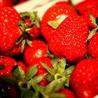 Die Ersten Erdbeeren des Jahres.