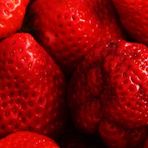 Die ersten Erdebeeren