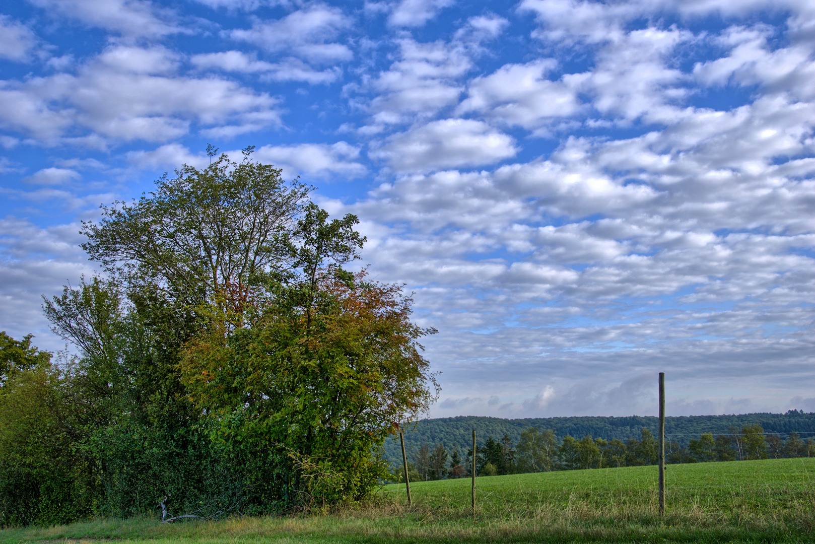 Die ersten Farben des nahen Herbstes