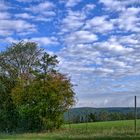 Die ersten Farben des nahen Herbstes