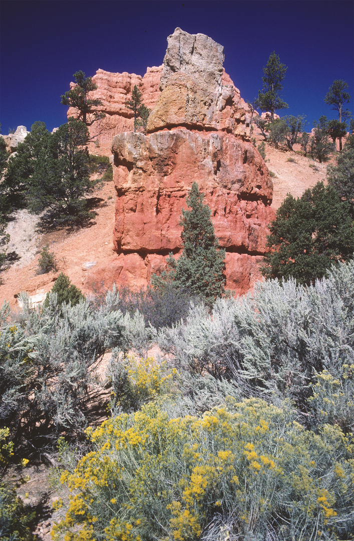 ...die ersten Felsen der Abbruchkanten vom Bryce Canyon...