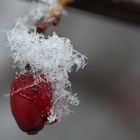 Die ersten Flocken sind da