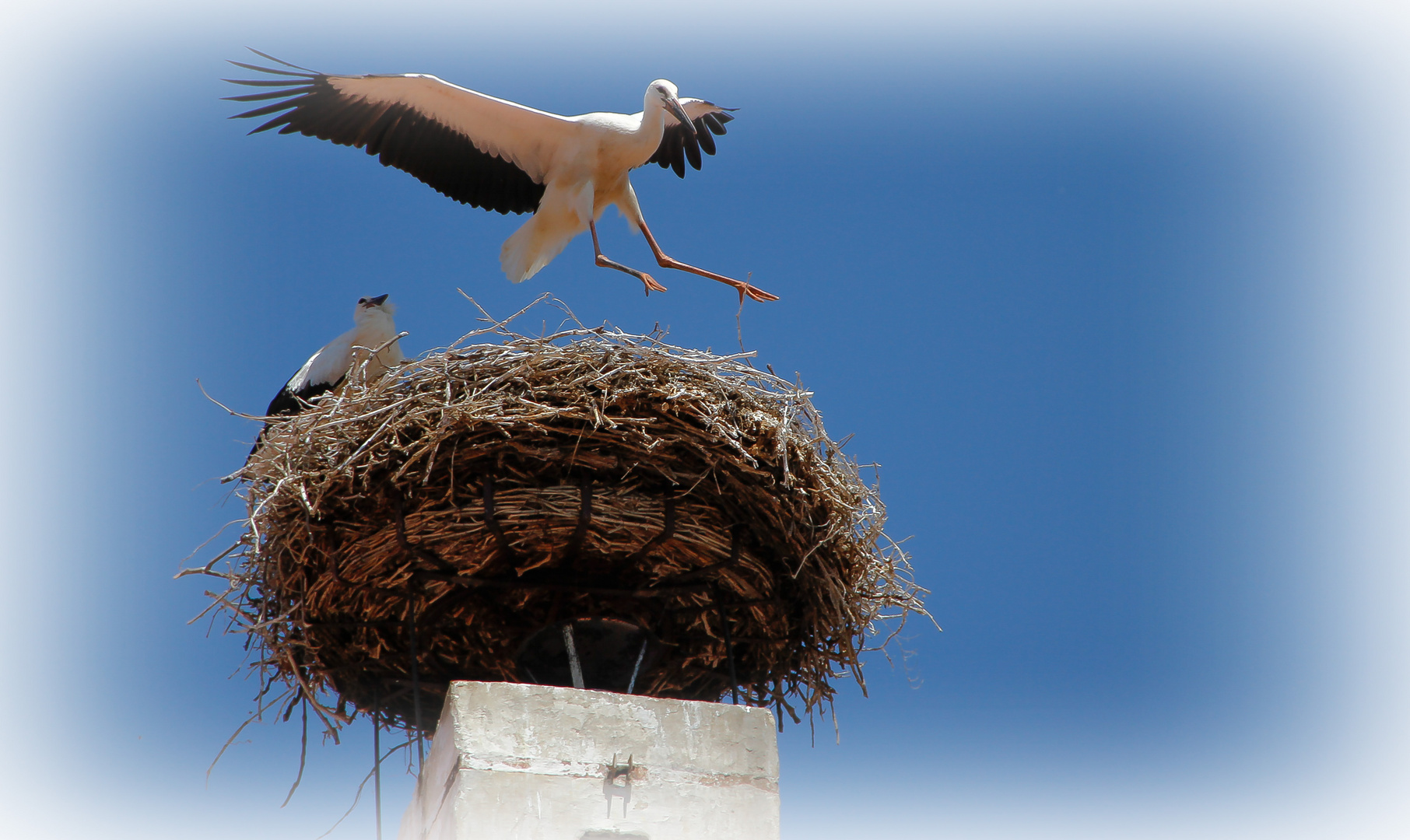 die ersten Flugversuch