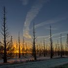 die ersten Frosttage am Niederrhein