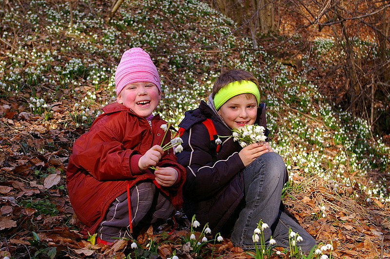 die ersten Frühlingsboten ............