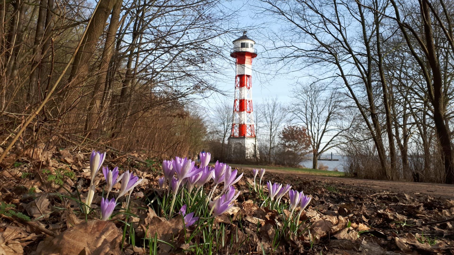 Die ersten Frühlingsboten sind da...