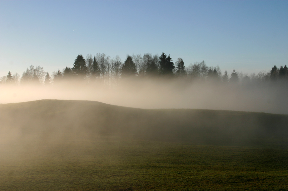 Die ersten Frühnebel