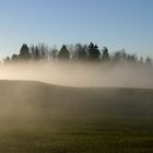 Die ersten Frühnebel