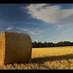 Die ersten Herbstboten