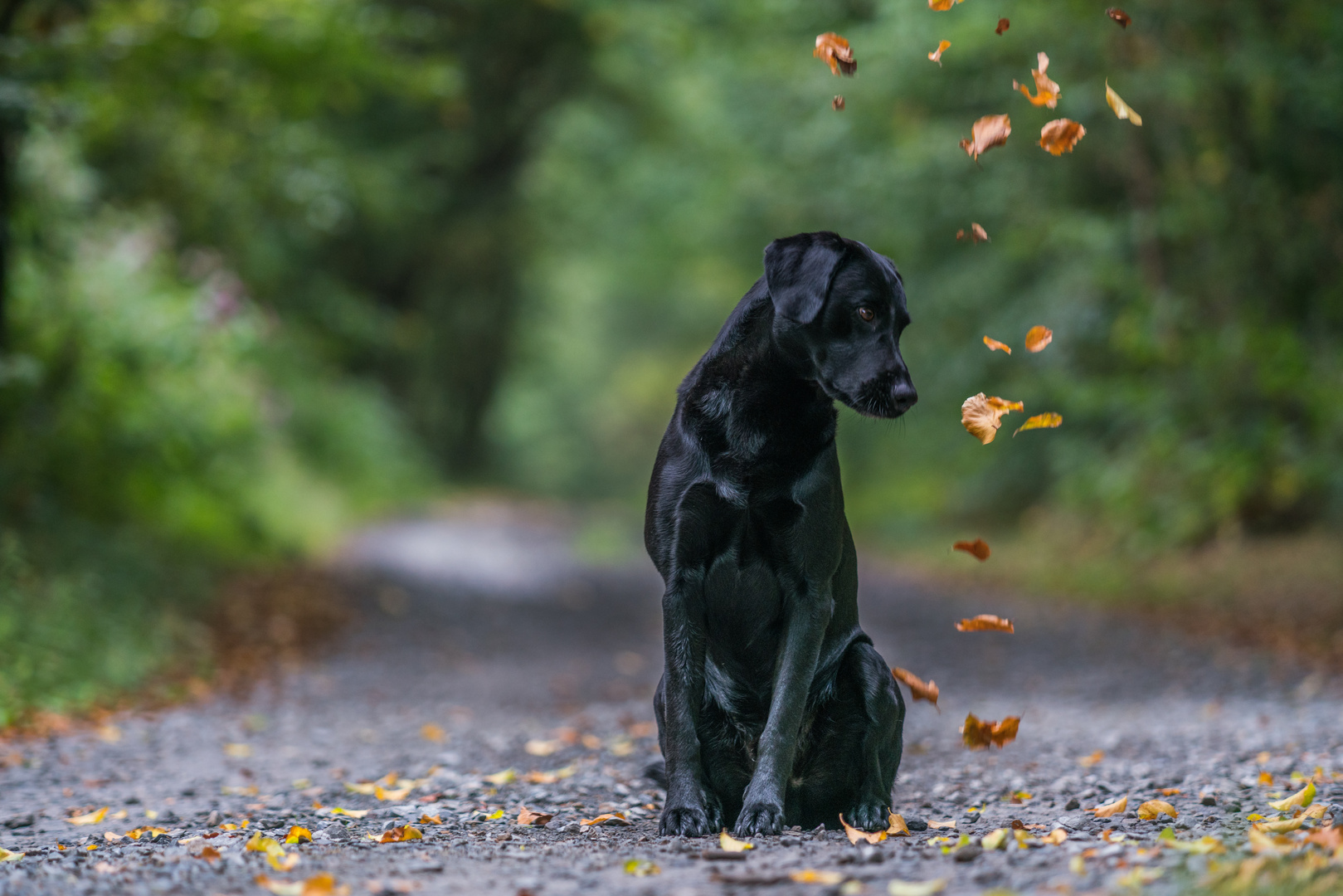 Die ersten Herbstboten lassen grüssen