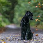 Die ersten Herbstboten lassen grüssen