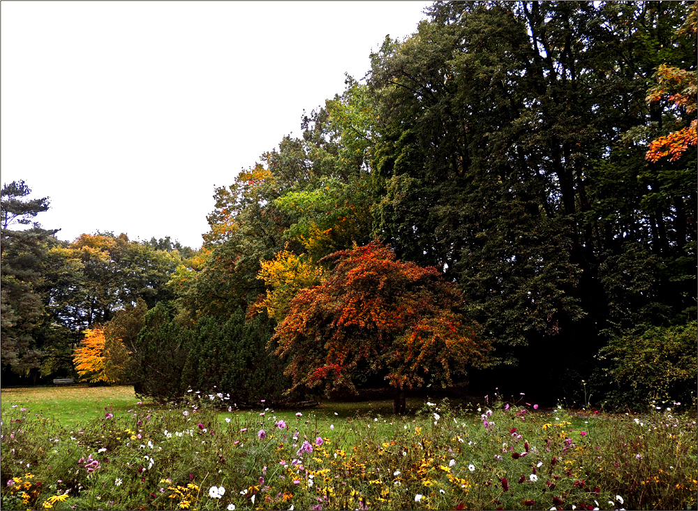 Die ersten Herbstfarben