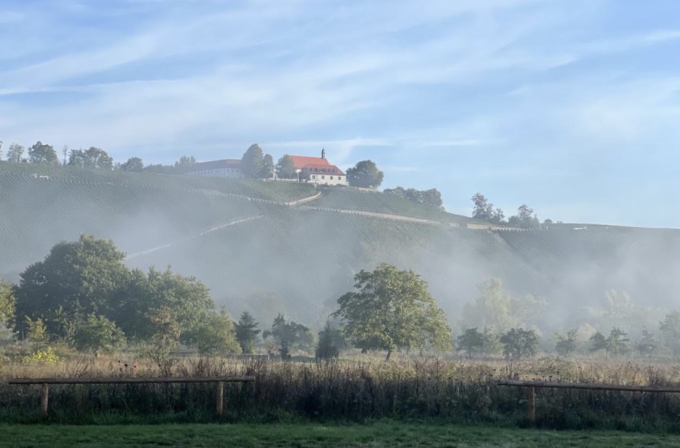 die ersten herbstnebel