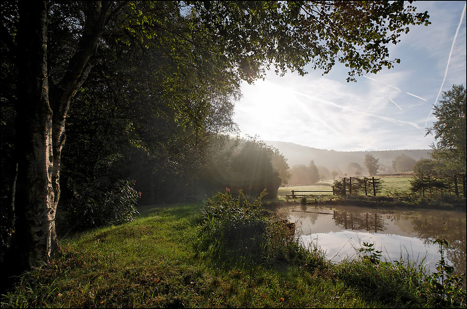 die ersten Herbstnebel