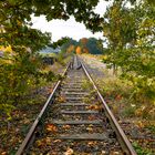 Die ersten Herbstwinde