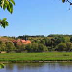 Die ersten Kirschen über der architektonischen Triologie (3)