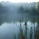 die ersten Morgennebel..