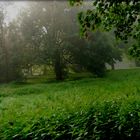 Die ersten Nebel steigen schon am frühen Morgen