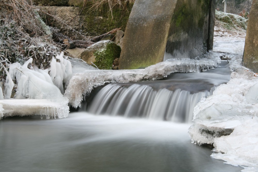 Die ersten Outdoor-Testbilder mit der EOS 400D :-)