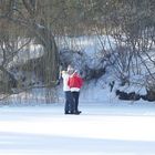 die ersten Schritte auf Kufen