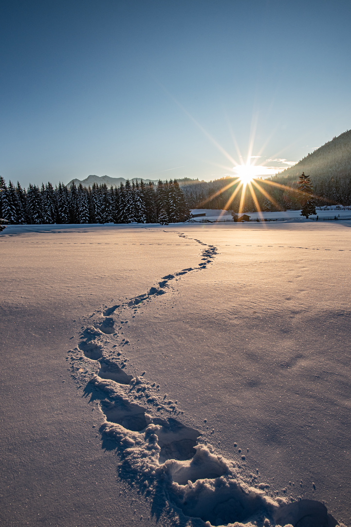 Die ersten Schritte im Schnee