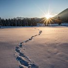 Die ersten Schritte im Schnee