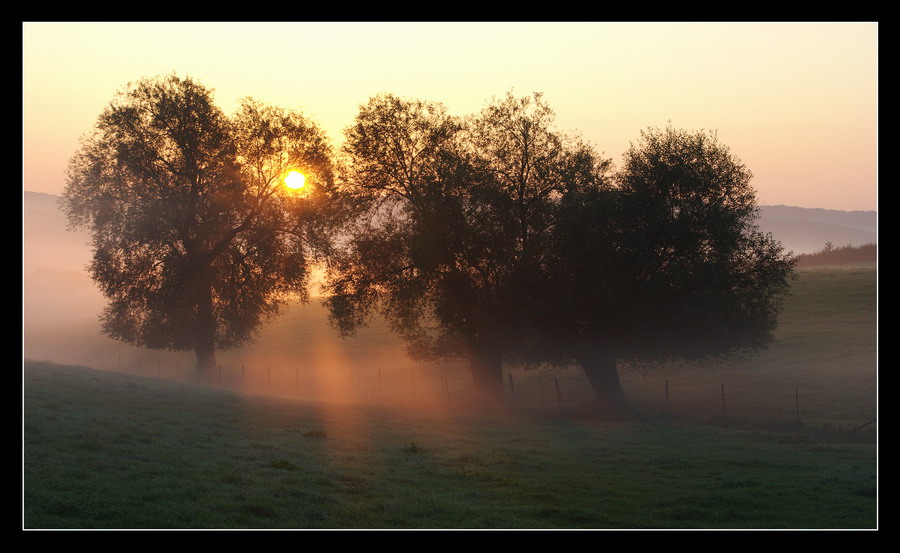 Die ersten Sonnenstrahlen