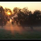 Die ersten Sonnenstrahlen