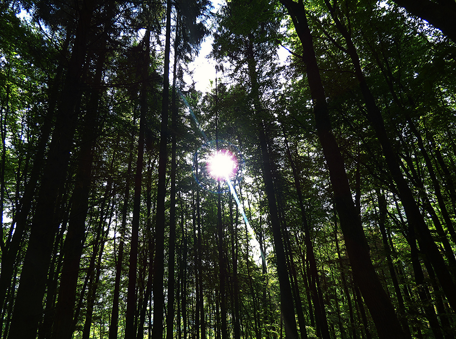 Die ersten Sonnenstrahlen